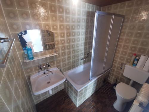 uma casa de banho com um lavatório, um chuveiro e um WC. em Ferienwohnungen Wunderburg em Gmunden