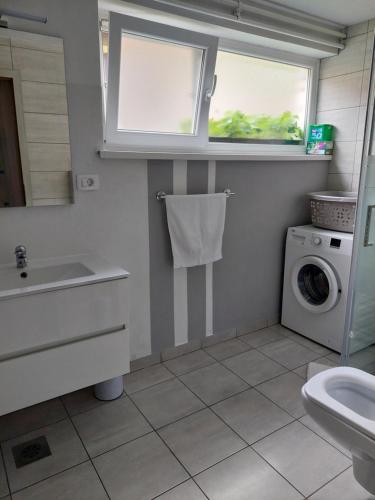 a bathroom with a sink and a washing machine at Apartmaji Iris Kobarid in Kobarid