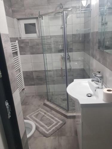 a bathroom with a shower and a sink and a toilet at GREY VILLAS in Călimăneşti