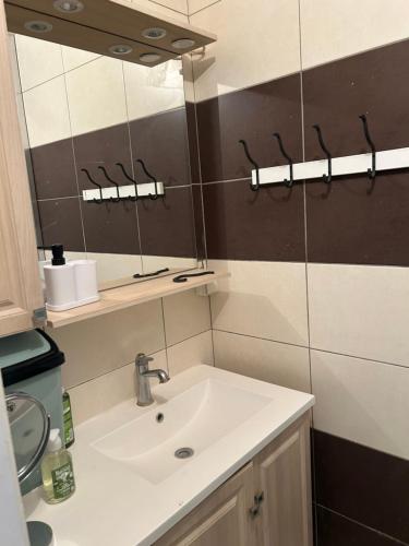 a bathroom with a sink and a mirror at Charmant appartement Grand Stade in Villeneuve d'Ascq