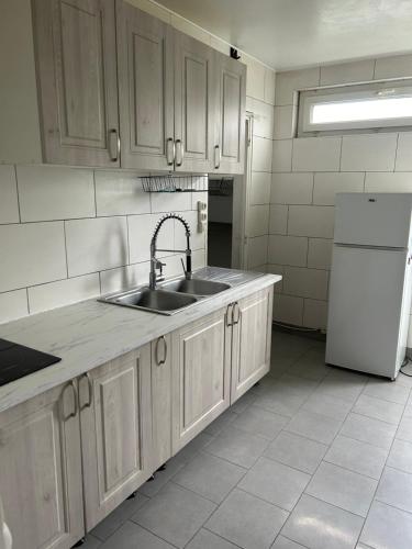 une cuisine avec un évier et un réfrigérateur dans l'établissement Charmant appartement Grand Stade, à Villeneuve d'Ascq