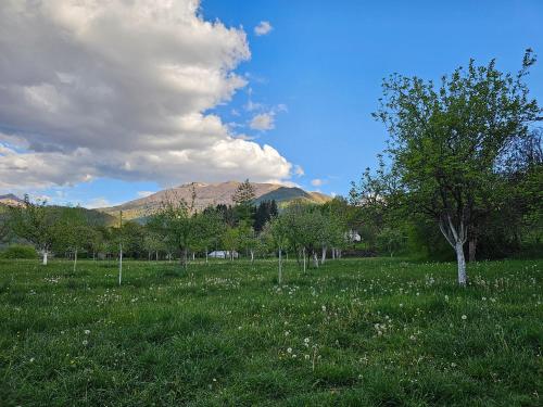 Gallery image of Traditional House Srna in Mojkovac