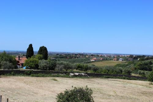 a view of a field with a city in the distance at L'arancio B&B in Cecchina