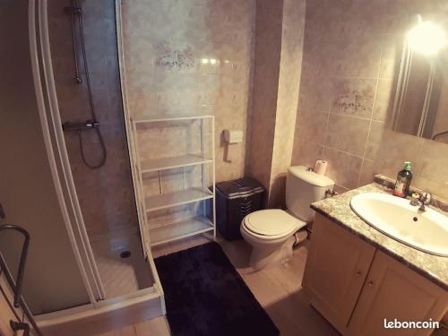 une salle de bain avec une douche, des toilettes et un lavabo dans l'établissement Appartement Les Cozettes, à La Bourboule