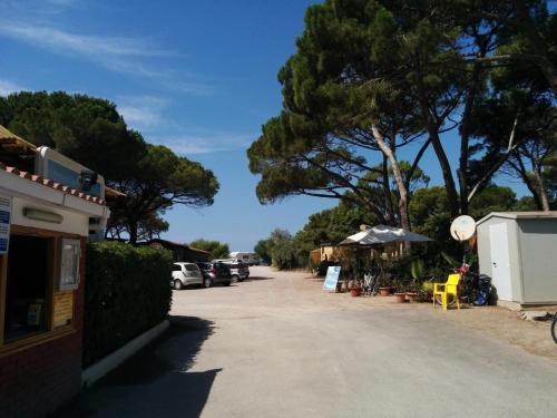 Gallery image of Campeggio la Mariposa in Alghero