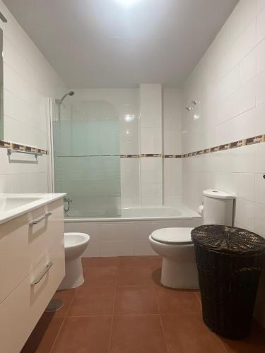 e bagno con servizi igienici, doccia e lavandino. di Apartamento en Carreña de Cabrales a Carreña de Cabrales