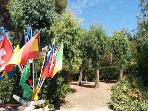 Gallery image of Campeggio la Mariposa in Alghero