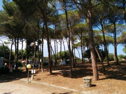 Gallery image of Campeggio la Mariposa in Alghero