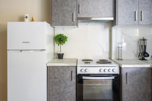 a kitchen with a stove and a refrigerator at Γκαρσονιέρα 2 δίπλα στη θάλασσα! in Antikyra