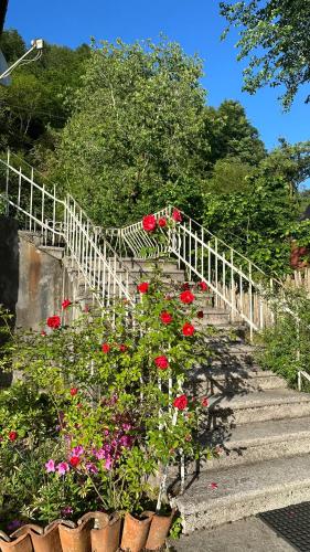 a white stairway with red flowers in a garden at Wood House Gomi in Ozurgetʼi