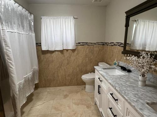 a bathroom with a toilet and a sink and a mirror at Stylish Fountain Hills gem with game room in Fountain Hills