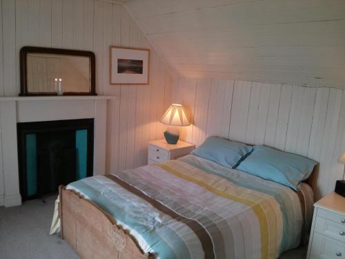 een slaapkamer met een bed met een lamp en een open haard bij Airebroc House in Uig