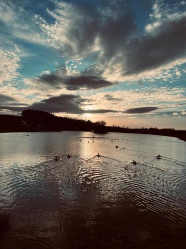 a group of people rowing in a lake at sunset at East Learmouth Lakeside Lodges in Cornhill-on-tweed