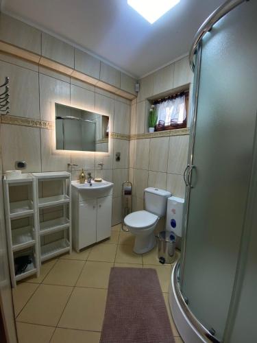 a bathroom with a toilet and a sink at Domek letniskowy Zacisze in Urowo