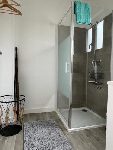 eine Dusche mit einer Glastür in einem Badezimmer in der Unterkunft L'hydrangea in Danvou