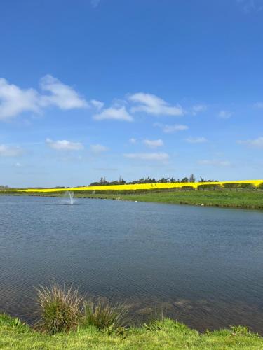 a body of water with a field of yellow flowers at East Learmouth Lakeside Lodges - Larch Lodge in Cornhill-on-tweed