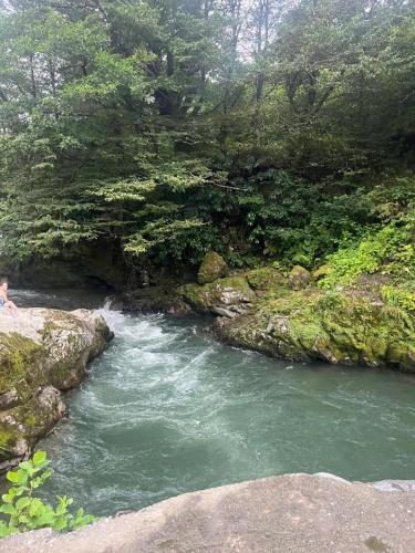 a person sitting on a rock next to a river at Wood House Gomi in Ozurgetʼi