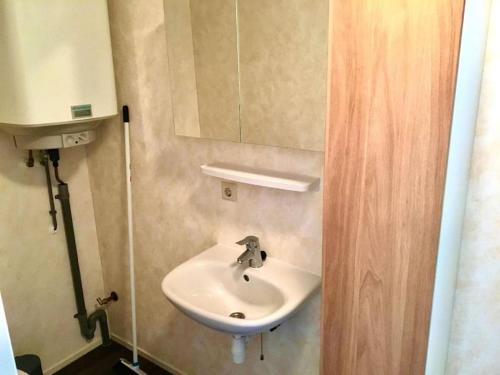 a bathroom with a sink and a mirror at Chalet Pallegarste 125 in Mariënberg