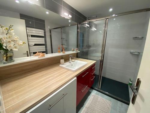 ein Bad mit einem Waschbecken und einer Dusche in der Unterkunft RÉF 319 - PLOEMEUR Lomener bel appartement T3 balcon vue mer avec ascenseur in Ploemeur