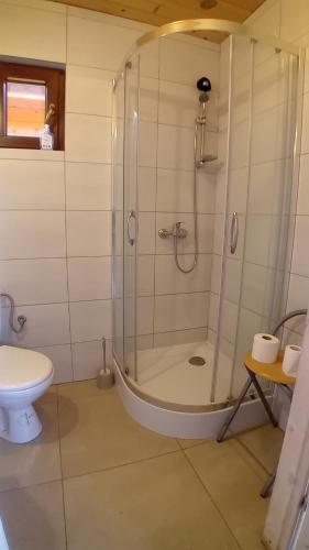 a bathroom with a shower and a toilet at Zacisze in Sarbinowo
