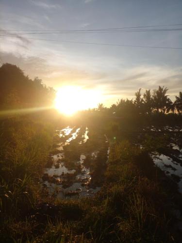 Candy home stay في Klungkung: غروب الشمس على جسم ماء مع اشجار