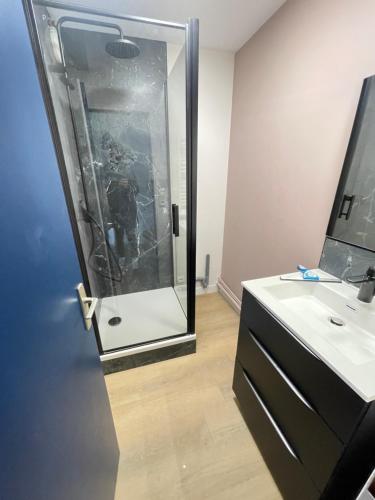 une salle de bain avec une douche avec une porte vitrée dans l'établissement Quiberon plage et ville, à Quiberon