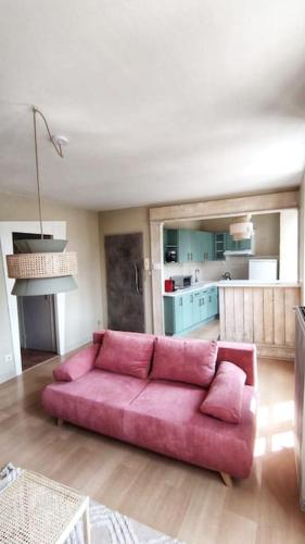 - un canapé rose dans le salon dans l'établissement Appartement T2 hyper centre, à Brive-la-Gaillarde