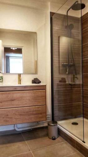 a bathroom with a shower and a sink at Appartement T2 hyper centre in Brive-la-Gaillarde