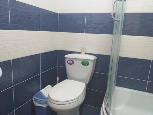 a bathroom with a toilet and a shower at Guest House Azaliya, Сары-Челек гостевой дом Азалия in Arkit