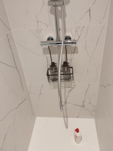 La salle de bains est pourvue d'un lustre suspendu au plafond. dans l'établissement La petite Madeleine, à La Rochelle