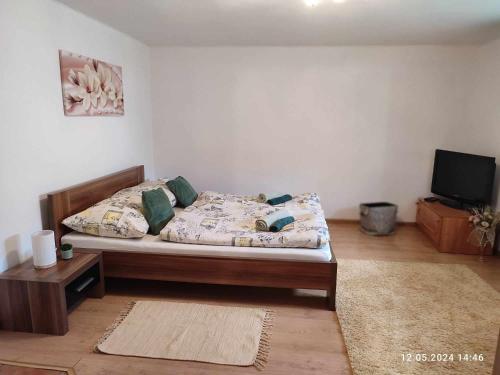 1 dormitorio con 1 cama y TV de pantalla plana en Privát Stelly en Dolná Lehota