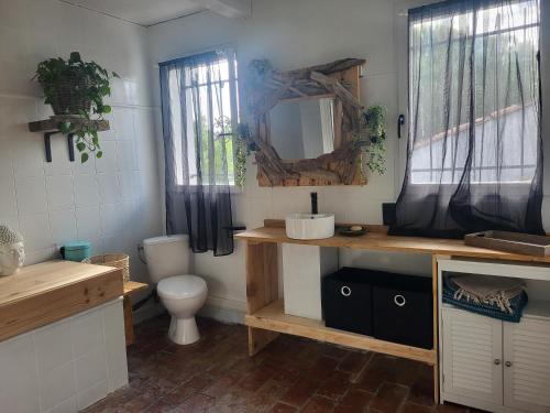 a bathroom with a toilet and a sink and a mirror at Maison de ana in Arles