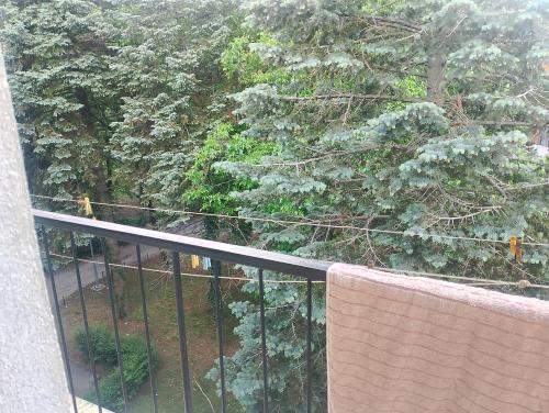 貝爾格勒的住宿－Apartment Beograd Dedinje VMA，阳台享有树林的景色。