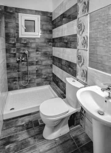 a bathroom with a toilet and a sink and a shower at Vila Aleka in Nei Poroi