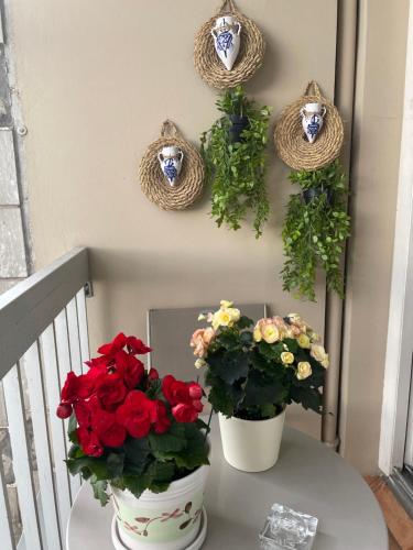 Photo de la galerie de l'établissement Chambre chez l'habitant avec Salle de bain à partager - homestay, à Paris