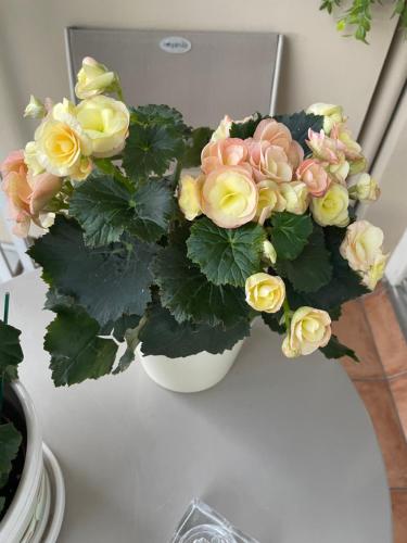 Photo de la galerie de l'établissement Chambre chez l'habitant avec Salle de bain à partager - homestay, à Paris