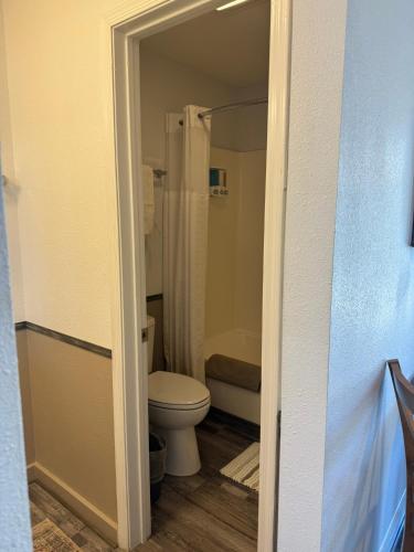a bathroom with a toilet and a shower at Mountain View Guest Motel in Mountain View