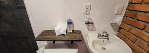 bagno con servizi igienici e lavandino di Alojamiento El Fresno a Mineral del Chico