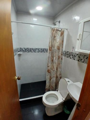 a small bathroom with a toilet and a shower at posada kyca cerca ala playa in Buenavista