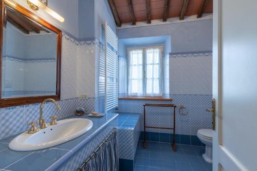 uma casa de banho azul com um lavatório e um WC em casale vergheria em Magliano in Toscana