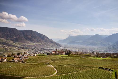 a view of a vineyard with mountains in the background at Hotel KÜGLERHOF in Tirolo