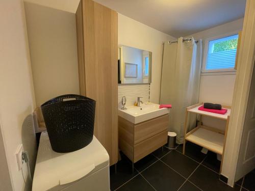 La petite salle de bains est pourvue d'un lavabo et d'une douche. dans l'établissement Maison Oleron au calme, à Dolus-d'Oléron