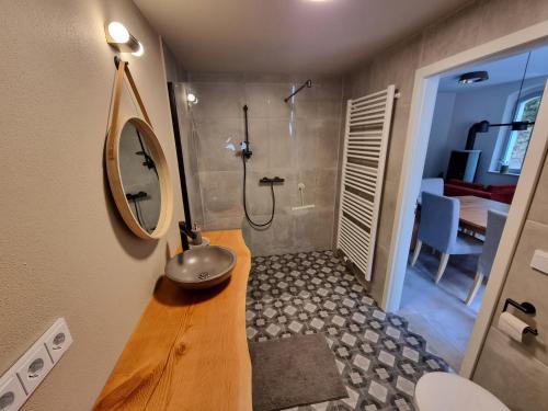 ein Bad mit einem Waschbecken und einer Dusche mit einem Spiegel in der Unterkunft Ferienhaus zum Wehlener Grund in Stadt Wehlen
