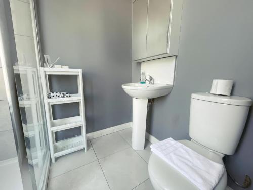 La salle de bains blanche est pourvue de toilettes et d'un lavabo. dans l'établissement En-suite Double Room in Cork, à Cork