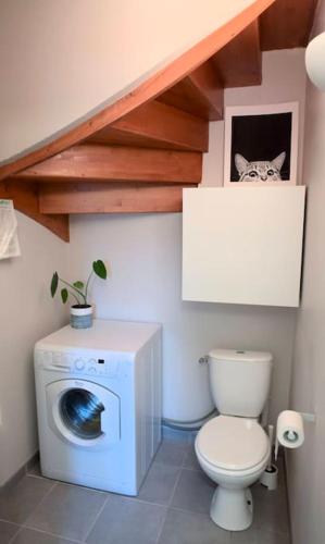 La salle de bains est pourvue de toilettes et d'un lave-linge. dans l'établissement Maison calme avec jardin proche de Toulouse, à Odars