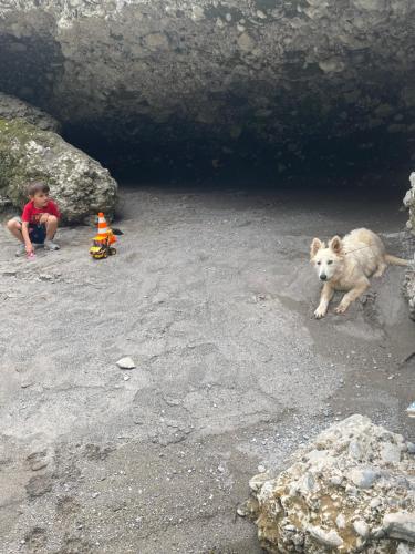 a dog and a child sitting in front of a cave at Mini Farm Cemi 