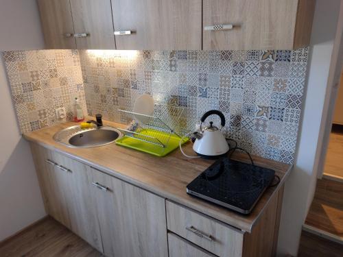 um balcão de cozinha com um lavatório e uma chaleira para chá em Sudety hut em Podgórzyn