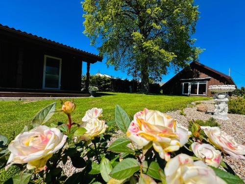a garden with roses in front of a house at AGUONA ROYAL OASIS in Molėtai