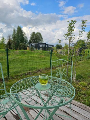 a glass table and chairs with a cup on it at Vaitų Riešutynė - Small shipping container house in Antanava