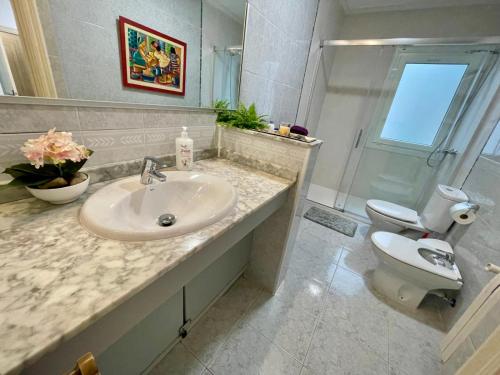 a bathroom with a sink and a toilet at Con Encanto in San Sebastián